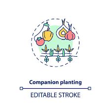 Companion Planting Concept Icon