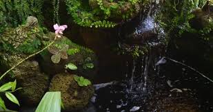 Natural Pond Fountain Small Waterfall