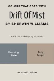 Drift Of Mist Sw 9166 By Sherwin