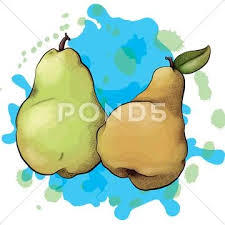 Watercolor Style Pears Clip Art 60830991