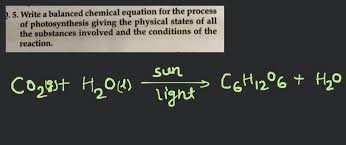 301 Write A Baranced Chemical Equation