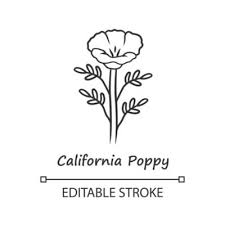 California Poppy Linear Icon Papaver