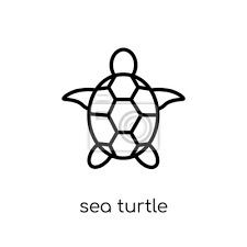 Sea Turtle Icon From Summer Collection