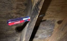 Wood Rot From Crawl Space Moisture Bay