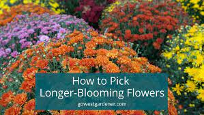3 Simple Tips To Choose Flowers That