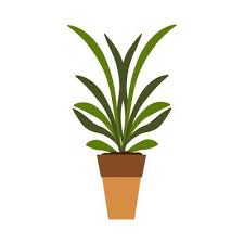 Plant Pot Vector Icon Leaf Garden