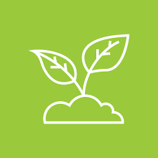 Plant Gardening Garden Agriculture