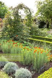 Formal Herb Garden Stock Photo By