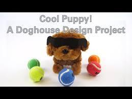 Cool Puppy A Doghouse Design Project