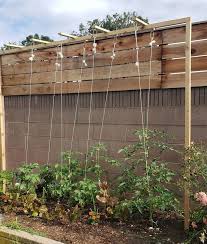 Diy Trellis Ideas For Vegetables