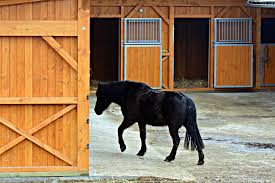 Designing A Great Horse Barn Requires