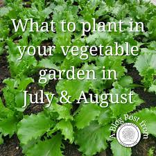 Garden Blog Goose Creek Gardens Ltd