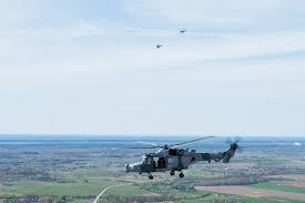 wildcat conduct training in lithuania