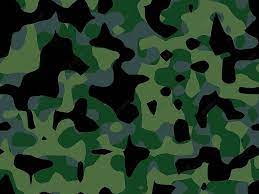 Camouflage Jacket Guerrilla War Photo