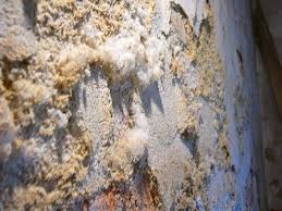 Learn What Is Efflorescence