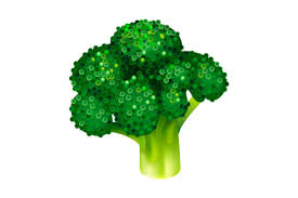 Garden Broccoli Icon Isometric Style
