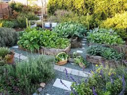 Raised Garden Beds Vs In Ground Beds