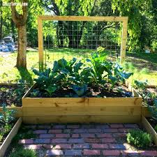 How To Build A Garden Box That Lasts