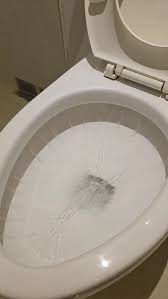 Water Cleaning Flush Toilet In Restroom