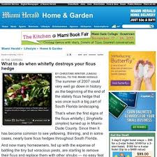 South Florida Hedge Plants