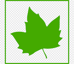 Leaf Favicon Icon Green Leaf Icon