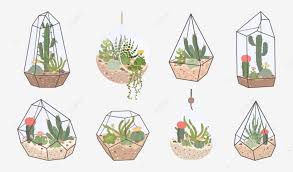 Glass Terrarium Vector Art Png Cute