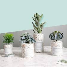 Faux Succulent Plants In Glass Vase