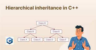 Hierarchical Inheritance In C With