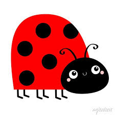 Lady Bug Ladybird Insect Icon Side