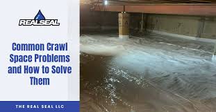 Common Crawl Space Problems And How To