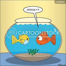 Fish Bowl Cartoons And Comics Funny