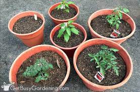 How To Make Potting Soil For Containers