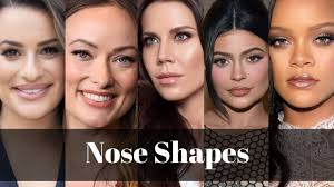 how to contour diffe nose types