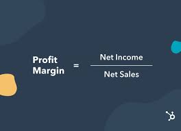 Gross Margin And Net Profit Margin