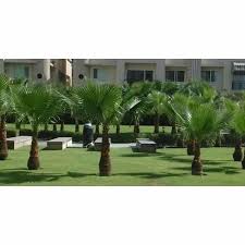 Hotel Garden Development Services