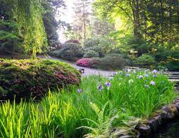 2023 In Review Portland Japanese Garden