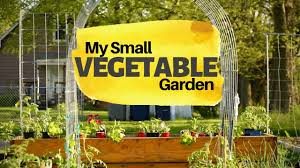 Small Urban Vegetable Garden In Zone 5