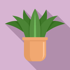 Home Succulent Icon Flat Ilration