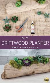 Diy Driftwood Succulent Planter
