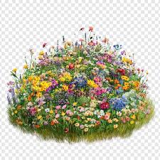 Flower Garden Images Free On