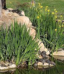 Secret Gardens In Southern California