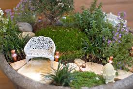 All About Thyme For Miniature Gardens