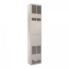 Empire Dv55ip Direct Vent Heater