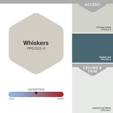 Whiskers Eggs Interior Paint