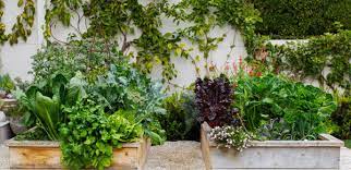 Gardening And Landscaping On Houzz