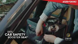 Drive Dog Car Booster Seat Pet Car