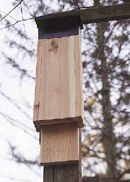 Build A Bat House Popular Woodworking