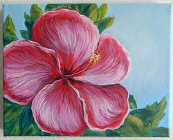 C Hibiscus Flower Painting Flower