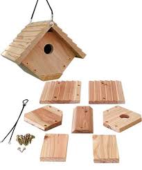 Wren Bird House Cedar Kit The Avant