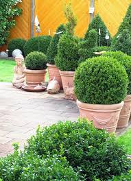 55 Container Gardening Ideas To Inspire